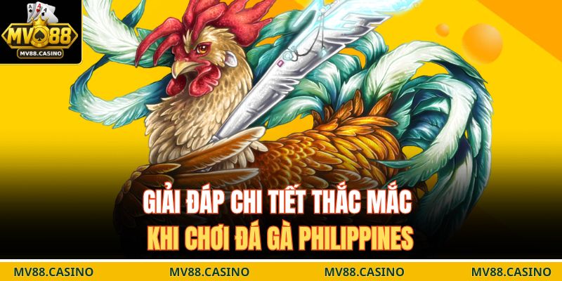 Giải đáp chi tiết thắc mắc khi chơi đá gà Philippines