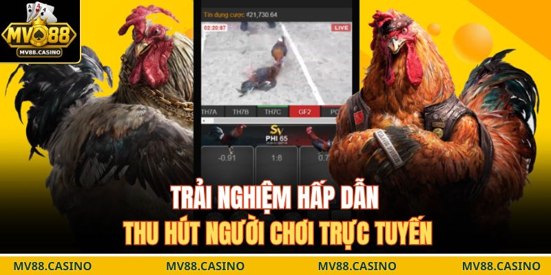 Trải nghiệm hấp dẫn thu hút người chơi trực tuyến